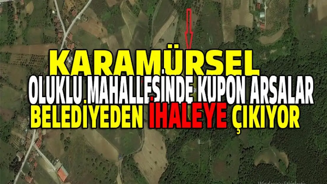 Karamürsel'de kupon arsalar ihaleye çıkıyor