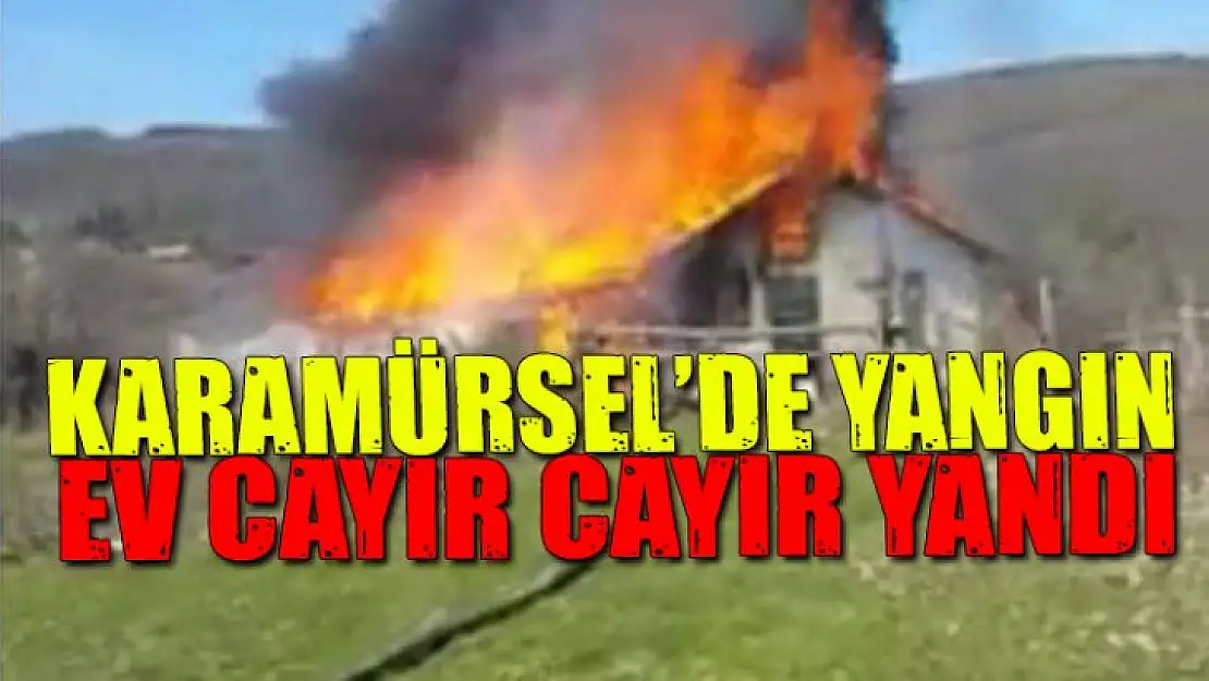 Karamürsel'de ev cayır, cayır yangını