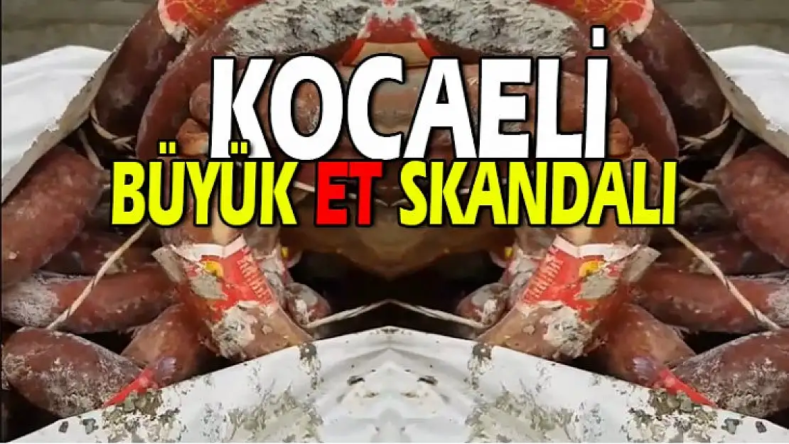 Kocaeli'de büyük et skandalı