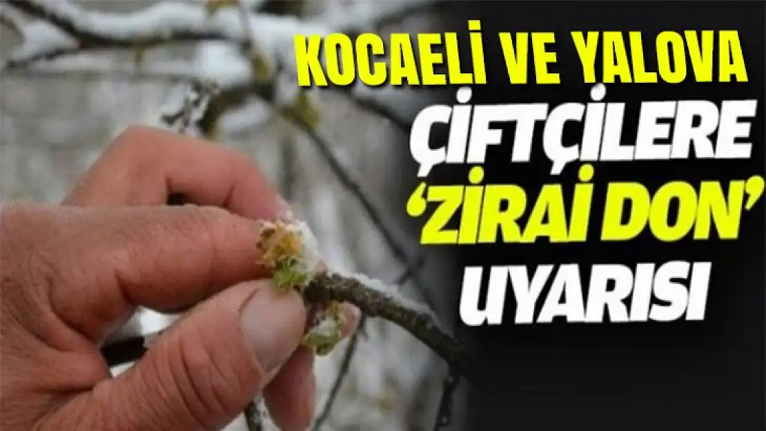 Kocaeli ve Yalova çifçiler dikkat zirai don uyarısı!