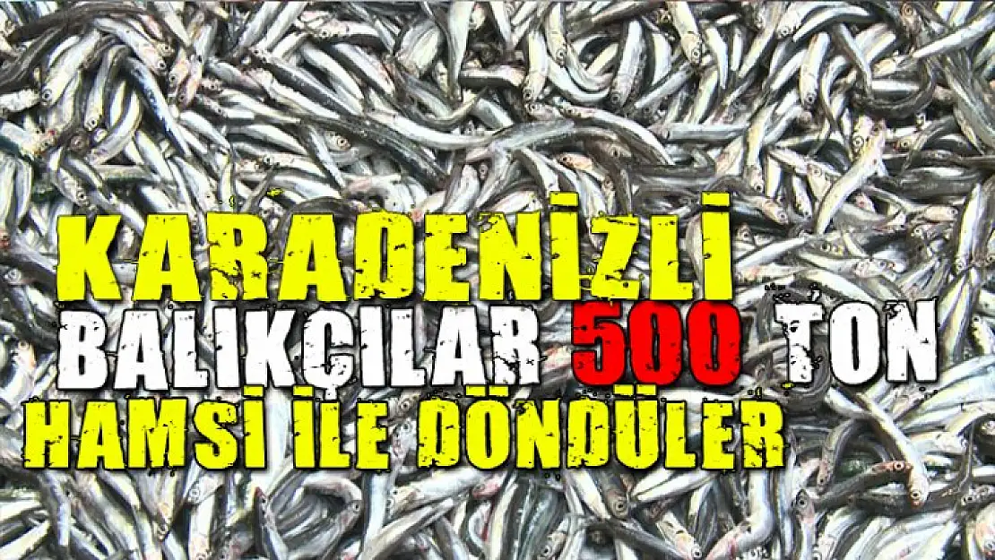 Karadenizli balıkçılar 500 ton 'hamsi' avdı