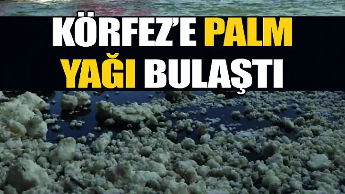 Körfez'e Palm yağı bulaştı !