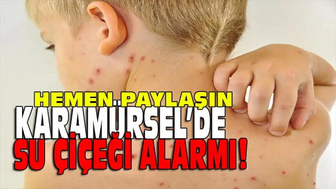 Karamürsel'de su çiçeği alarmı!