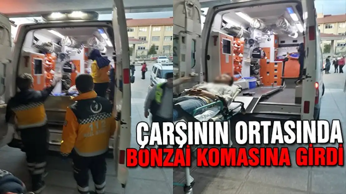 KARAMÜRSEL MERKEZDE BONZAİ KOMASINA GİRDİ