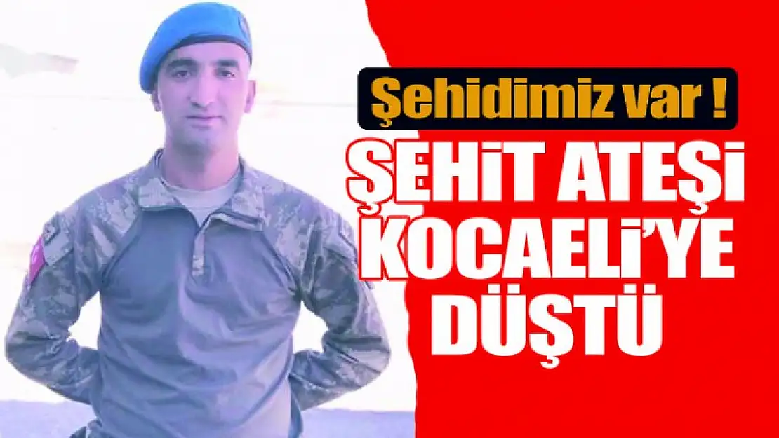 Şehit acısı Kocaeli'ye düştü !