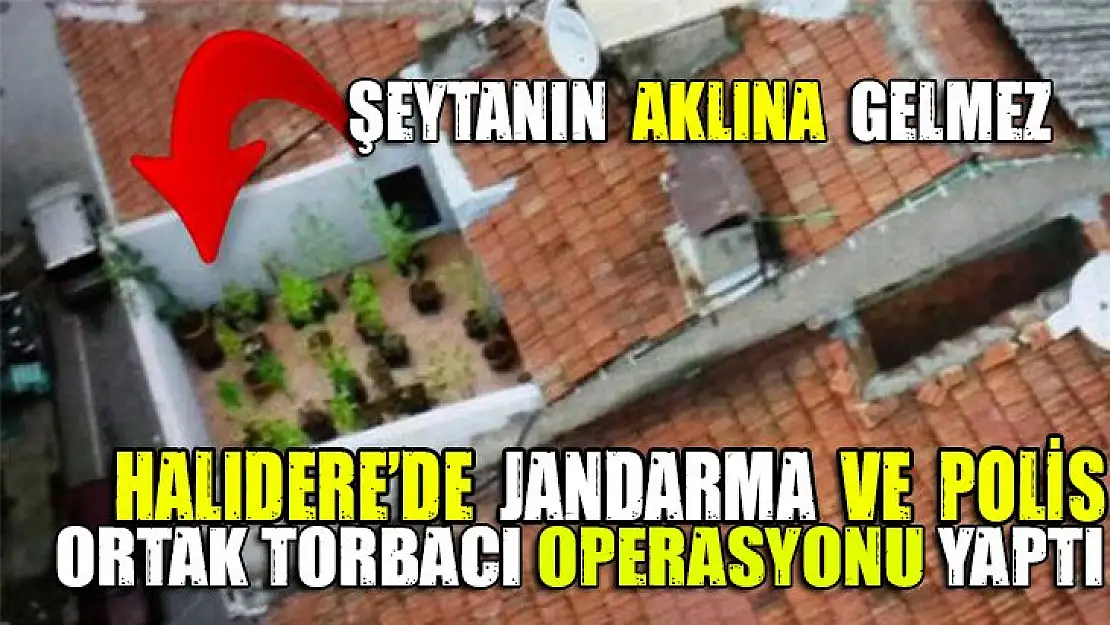 Halıdere'de jandarma ve polis ortak torbacı operasyonu yaptı