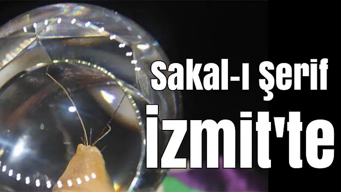 Sakal-ı Şerif İzmit'te