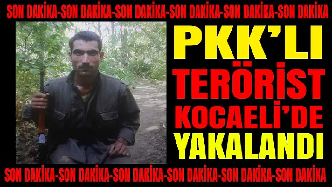 PKK'lı terörist Kocaeli'de yakalandı