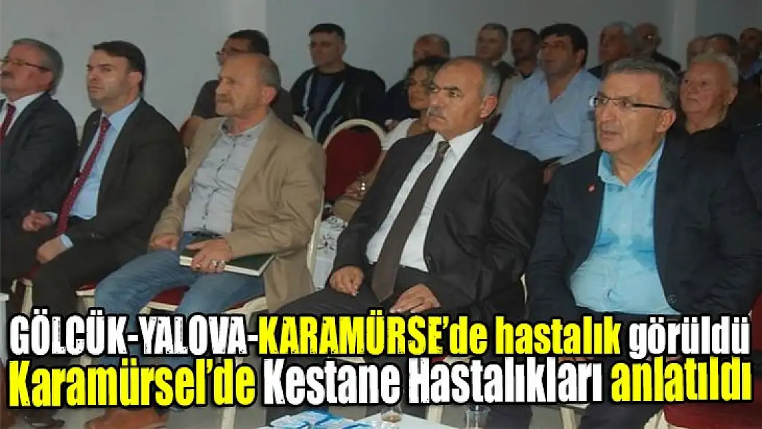 Gölcük,Yalova ve Karamürsel'de görülen 'Kestane Hastalığı'