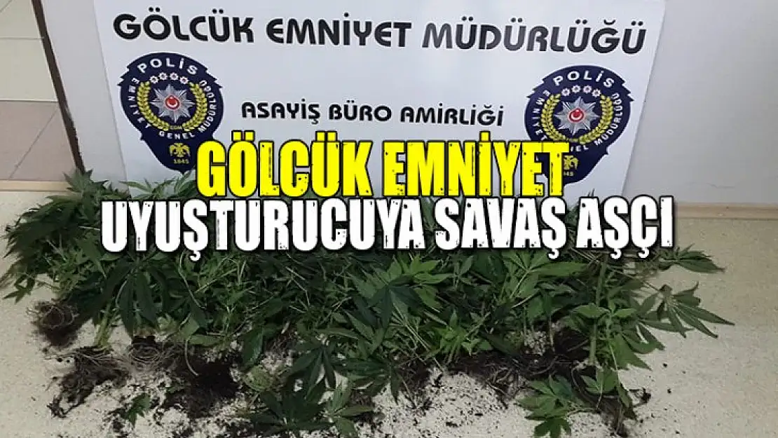 GÖLCÜK EMNİYET UYUŞTURUCUYA SAVAŞ AÇTI