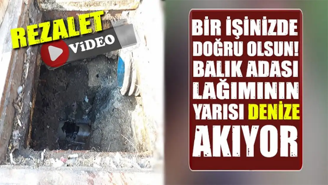 BALIK ADASINDA LAĞINIM YARISI LOGARA YARISI DENİZE