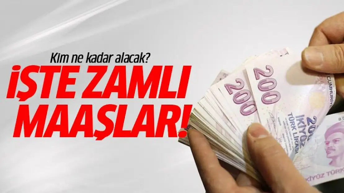 Memur ve emeklinin 2019 zam oranları