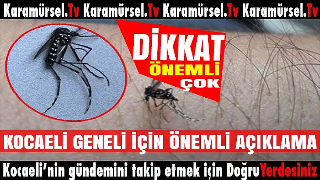 Kocaeli genelinde hızla çoğalıyor!