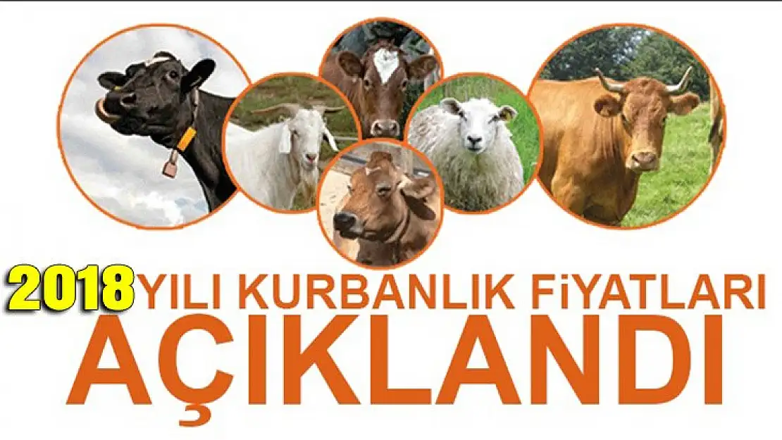 Diyanet kurbanlık fiyatlarını açıkladı