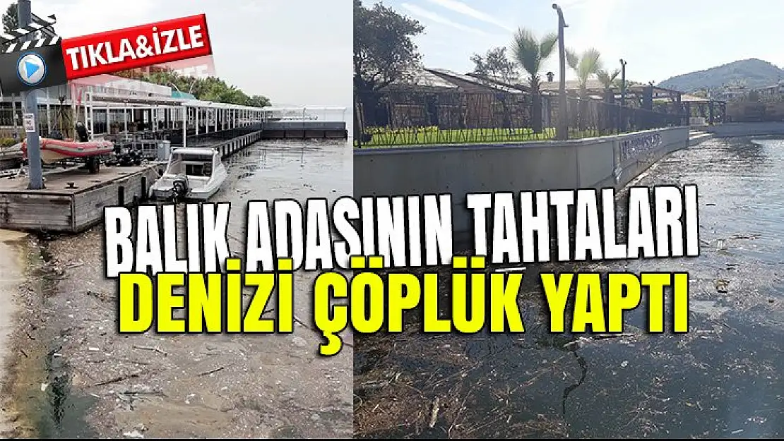 Karamürsel'de deniz katliamı