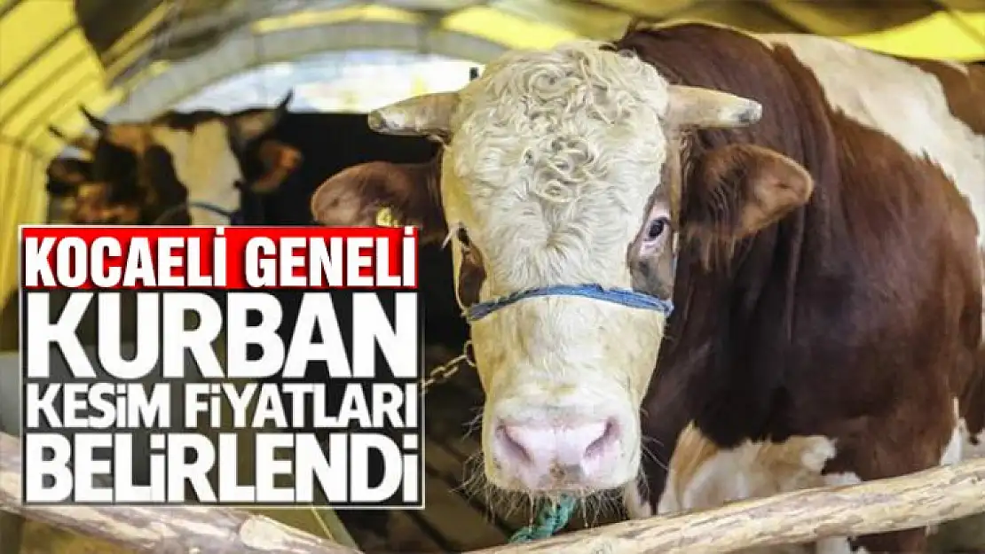 Kocaeli geneli kurban kesim fiyatları açıklandı