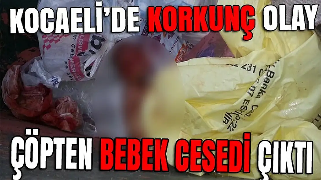 Kocaeli'de çöp konteynerinde bebek cesedi bulundu!