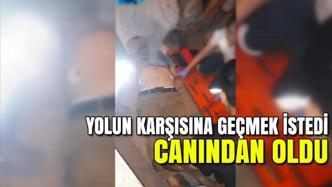 Karşıya geçmek isterken canından oldu!