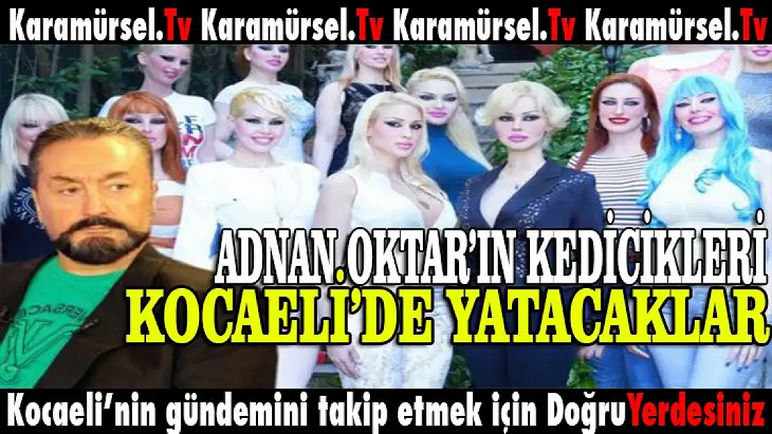 Adnan Oktar'ın kedicikleri, Kocaeli'de yatacak