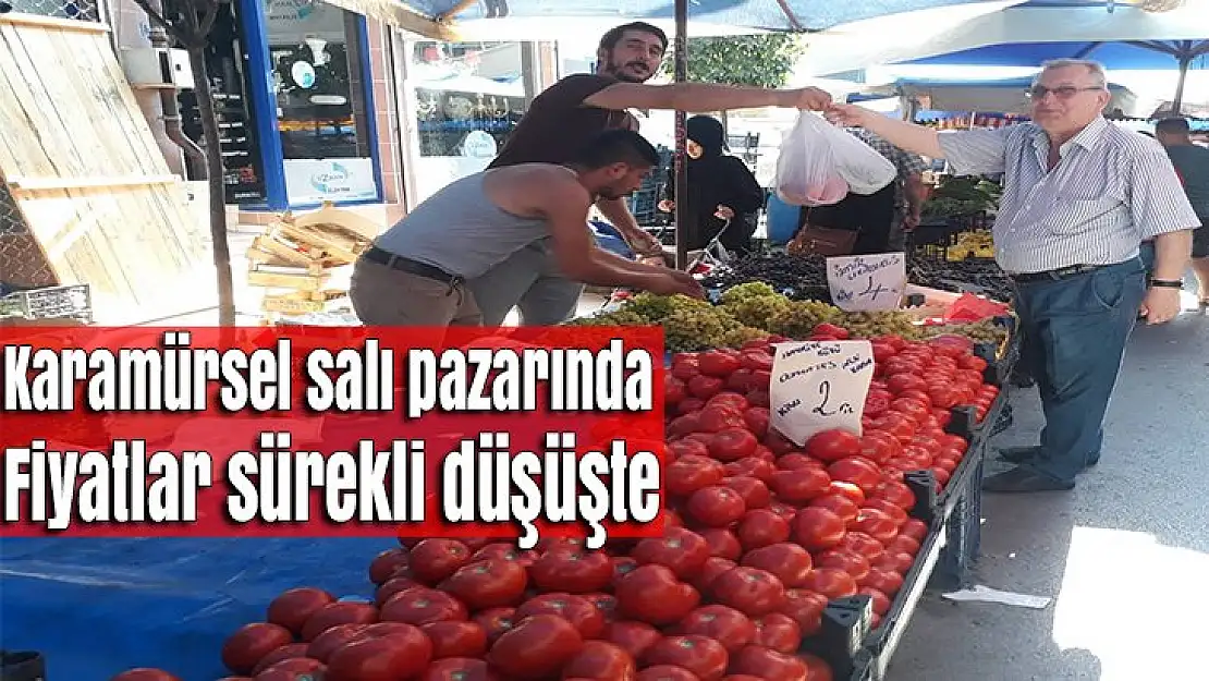 Karamürsel salı pazarında fiyatlar sürekli düşüşte