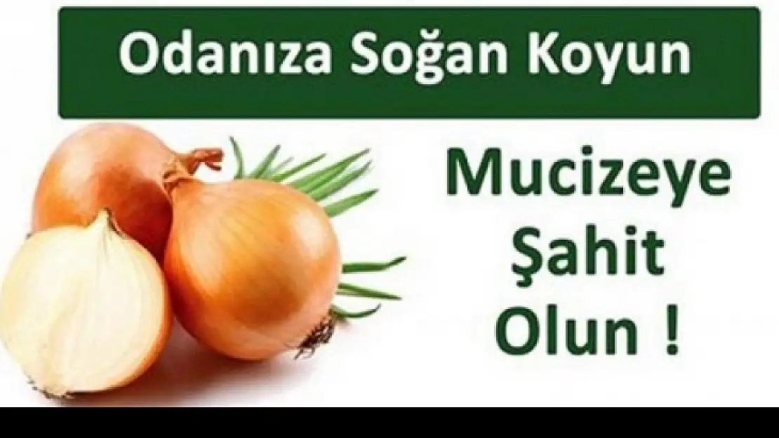 Odada Soğanın Ne İşi Var ?