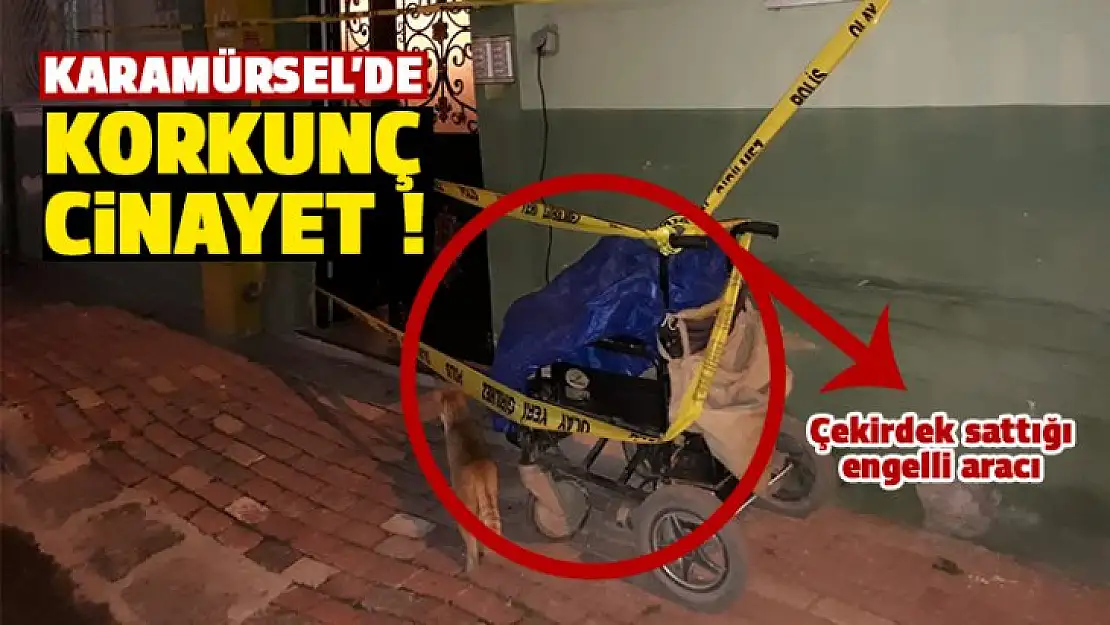 Karamürsel'de Korkunç Cinayet