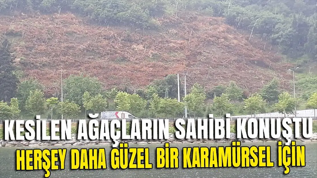 Kesilen ağaçların sahibi açıklama yaptı