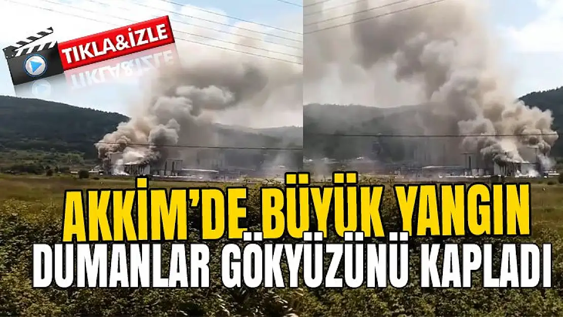 Akkim'de yangın büyük panik yarattı!