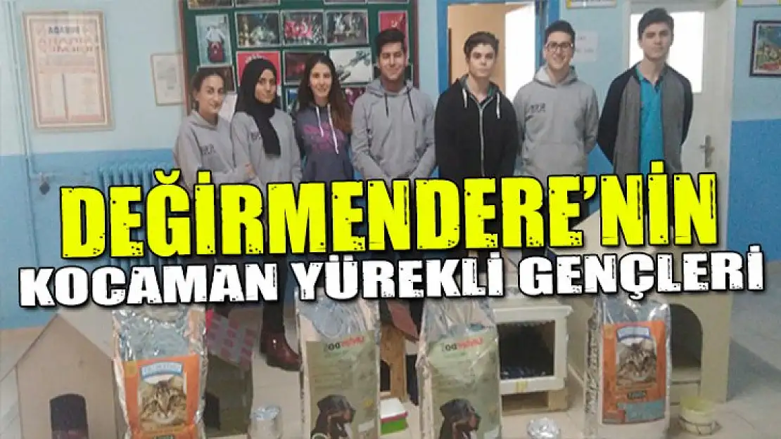 Değirmendere'nin kocaman yürekli gençleri