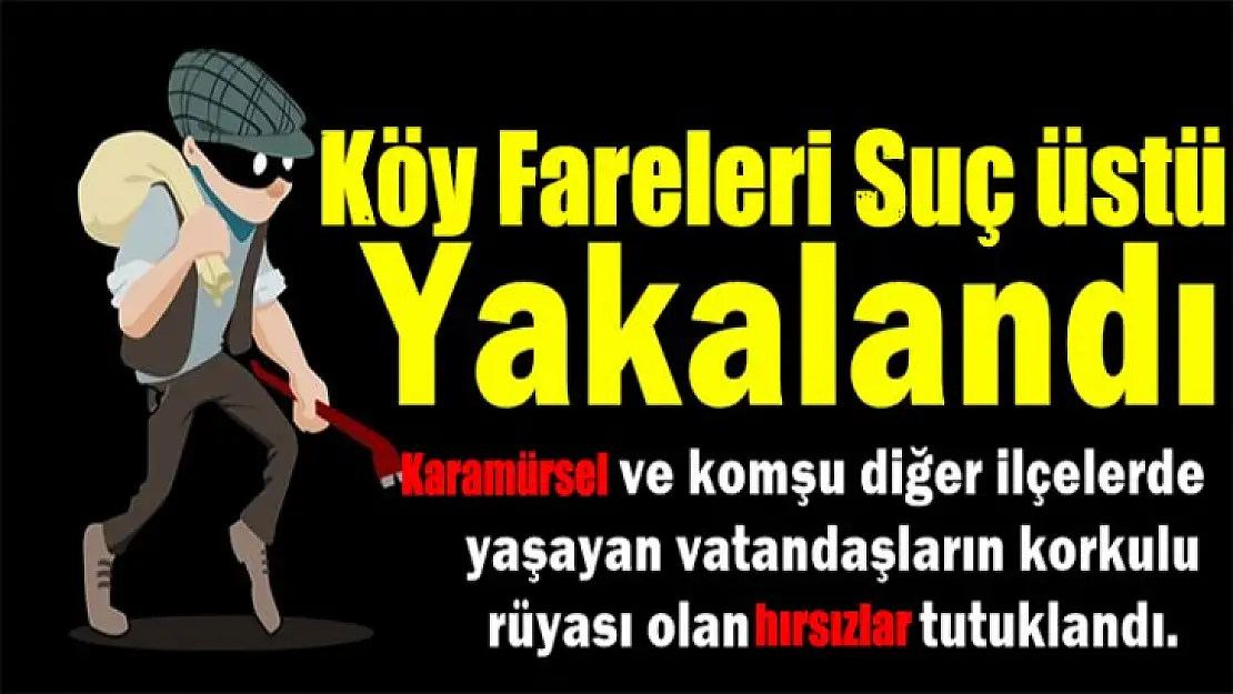 Jandarma hırsızları suç üstü yakaladı