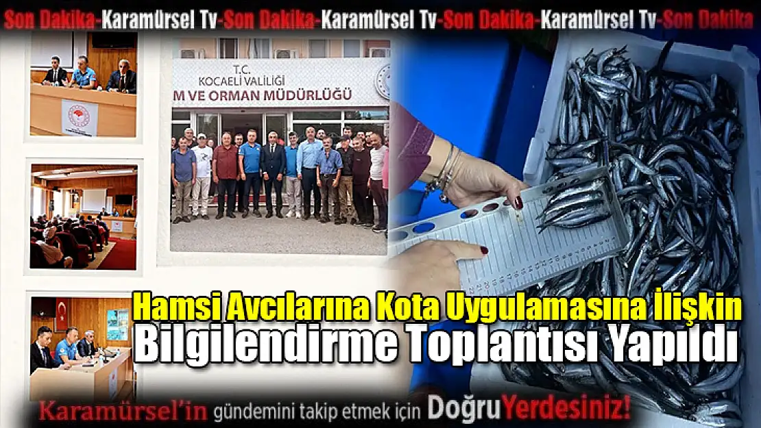 Hamsi Avcılarına Kota Uygulaması