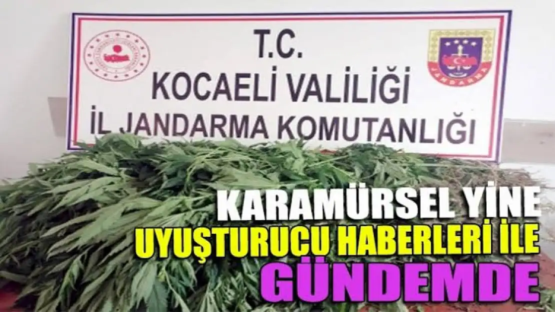 Jandarma el attığı yerde uyuşturucu ele geçiriyor