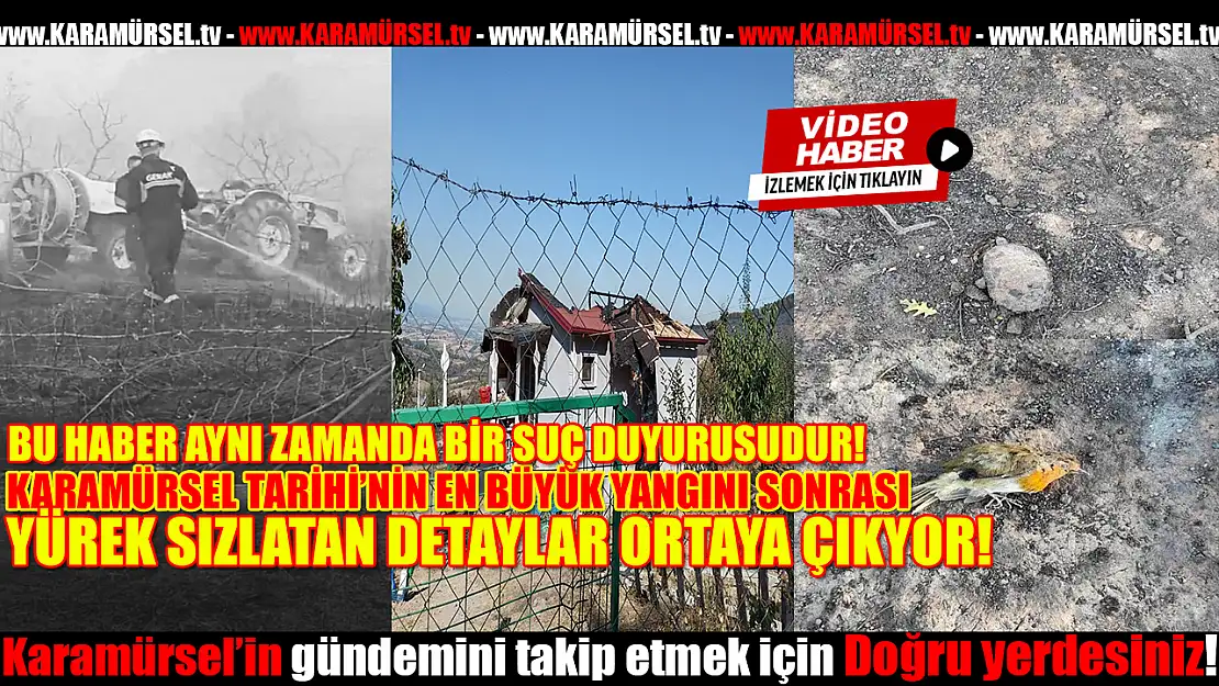 Karamürsel Alevlerle Boğuştu: Kalplerimiz de Yandı!