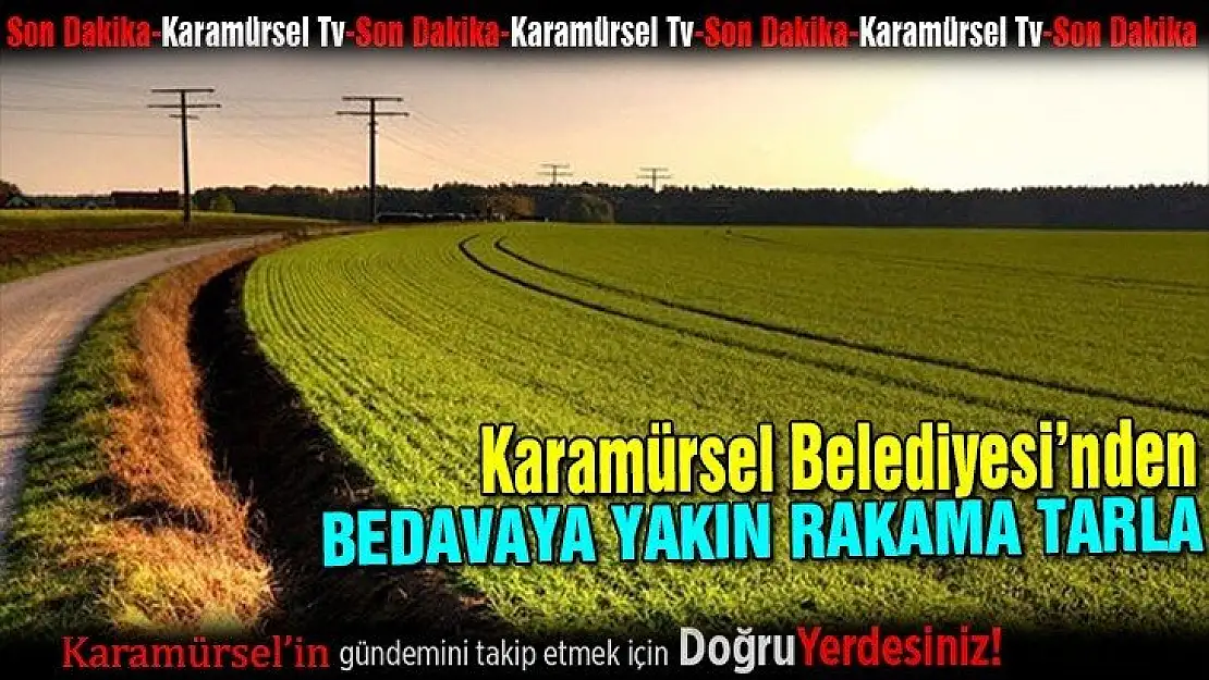 Karamürsel Belediyesi neredeyse bedavaya tarla veriyor!