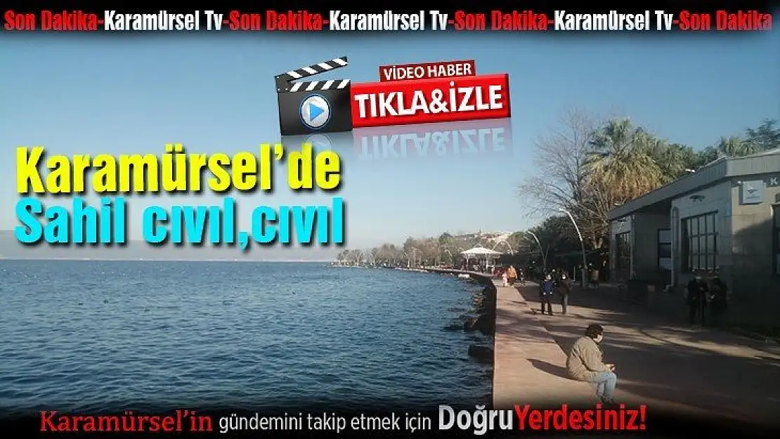 Karamürsel cıvıl, cıvıl