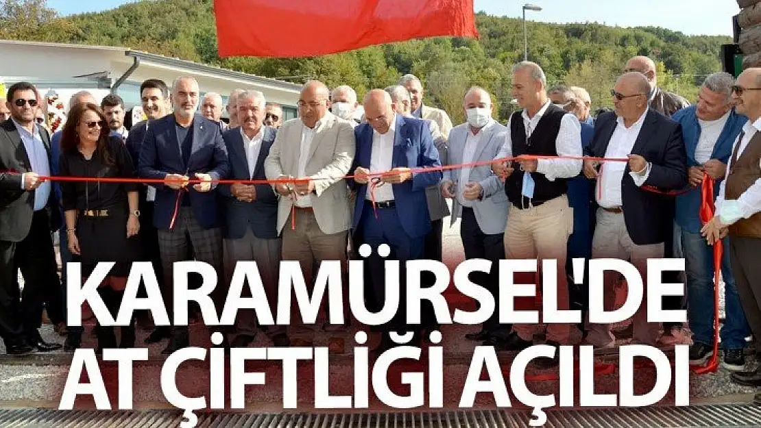 Karamürsel'de artık muhteşem bir at çiftliği var