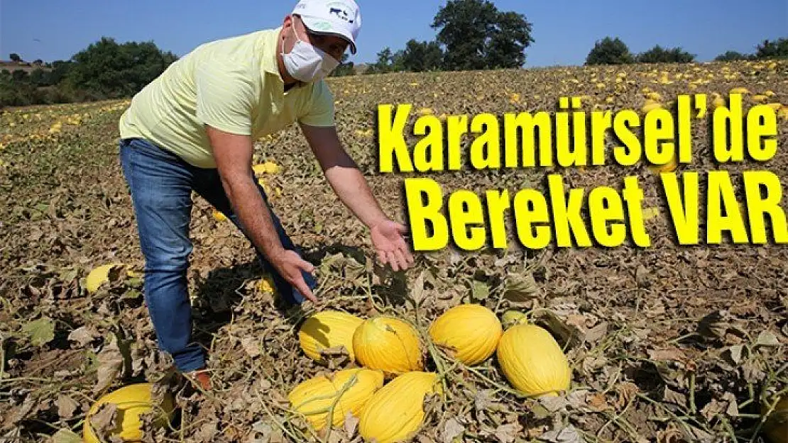 Karamürsel'de bereket var!