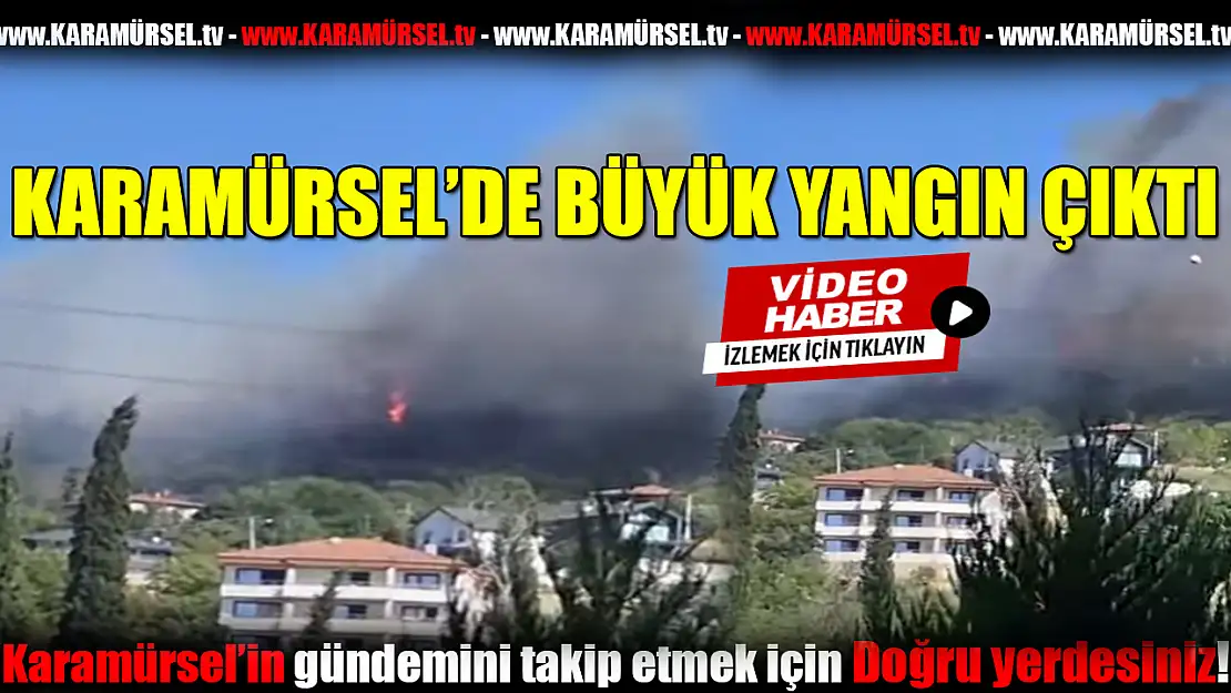 Karamürsel'de büyük yangın!
