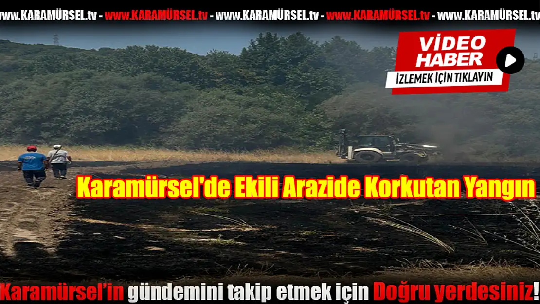Karamürsel'de Ekili Arazide Korkutan Yangın