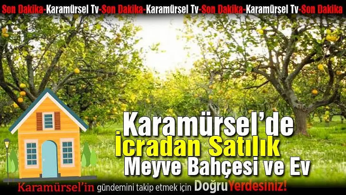 Karamürsel'de icradan satılık daire ve arsalar