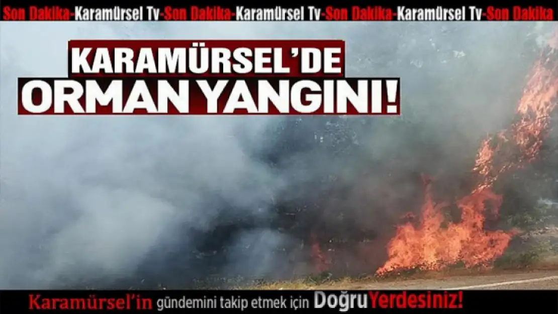 Karamürsel'de korkutan yangın