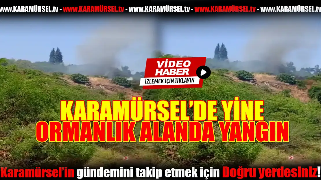Karamürsel'de Korkutan Yangın!