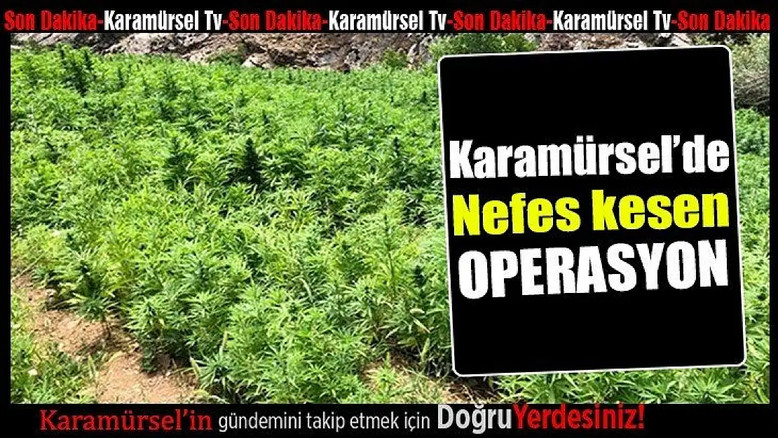 Karamürsel'de nefes kesen operasyon!