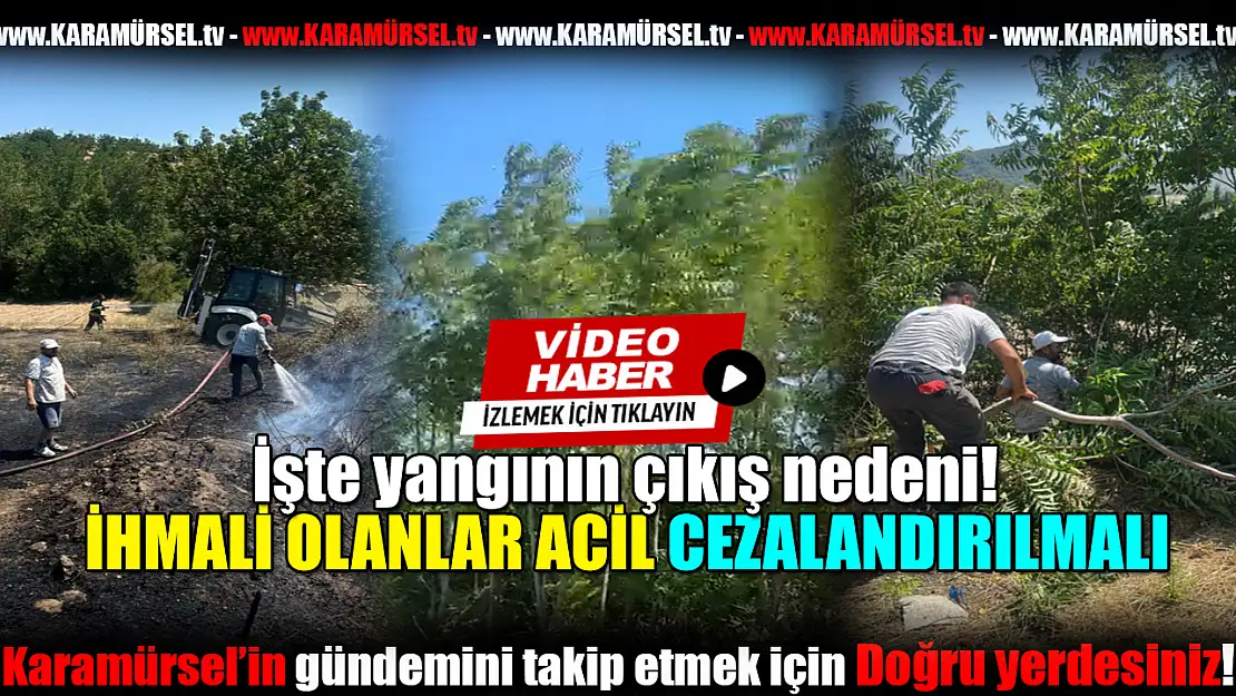 Karamürsel'de Peş Peşe Yangınlar! İşte çıkış nedeni!