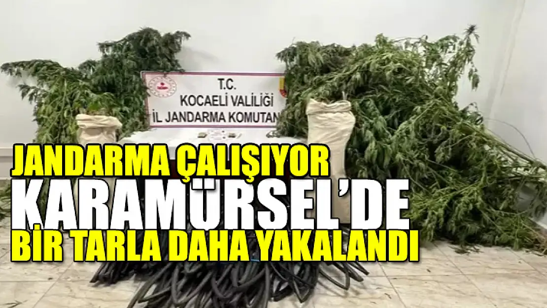 Karamürsel'de Uyuşturucu Operasyonu