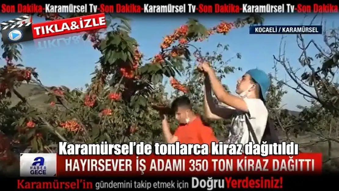 Karamürsel'de vatandaşa tonlarca kiraz dağıtıldı