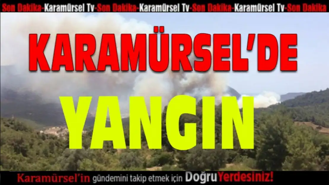 Karamürsel'de yangın paniği! Çok sayıda itfaiye sevk edildi