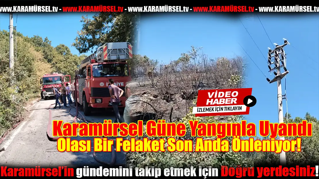 Karamürsel Güne Yangınla Uyandı!