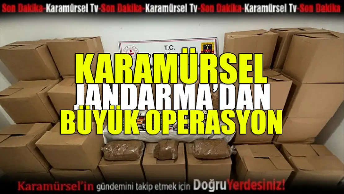 Karamürsel Jandarma'dan büyük operasyon