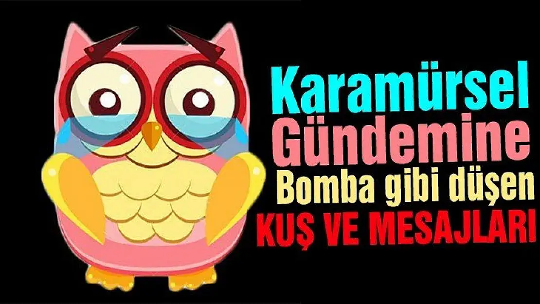 Karamürsel kuşu ilçeye bomba gibi düştü!